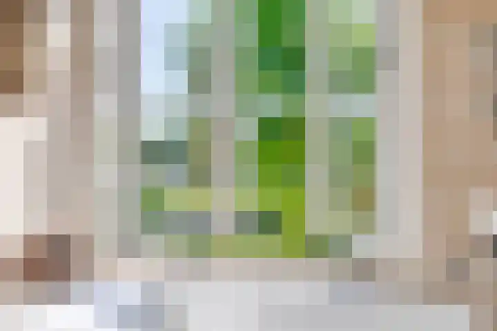 Contre Escarpe 8 Doesburg thumbnail 32