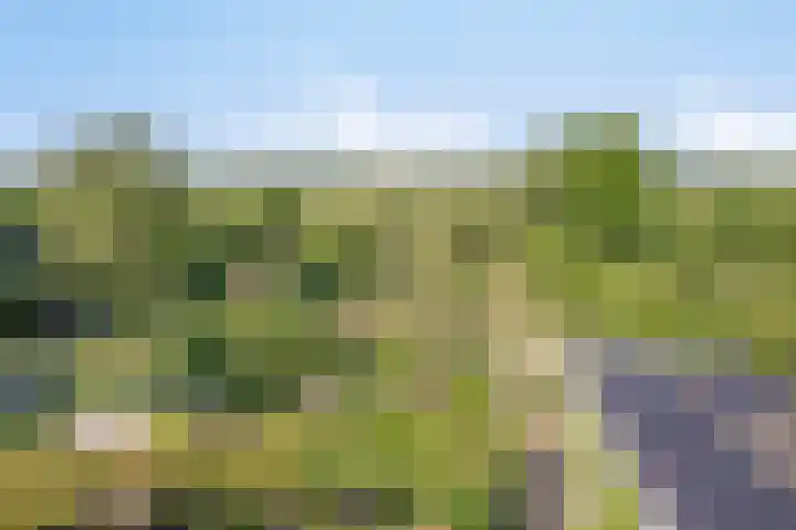 Contre Escarpe 8 Doesburg thumbnail 46