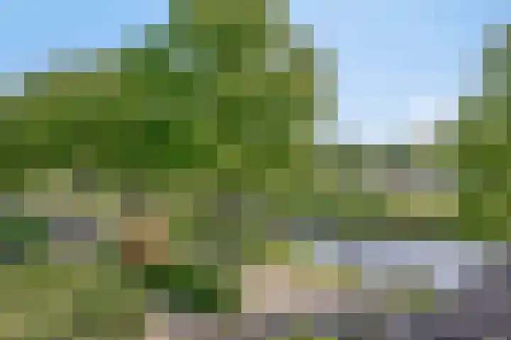 Contre Escarpe 8 Doesburg thumbnail 47