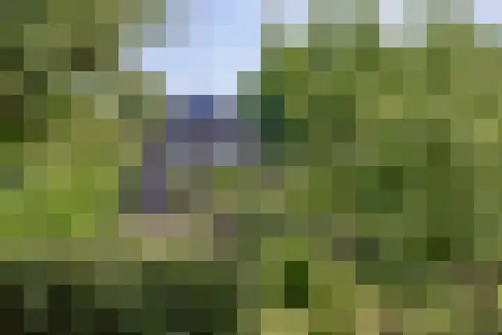 Contre Escarpe 8 Doesburg thumbnail 5