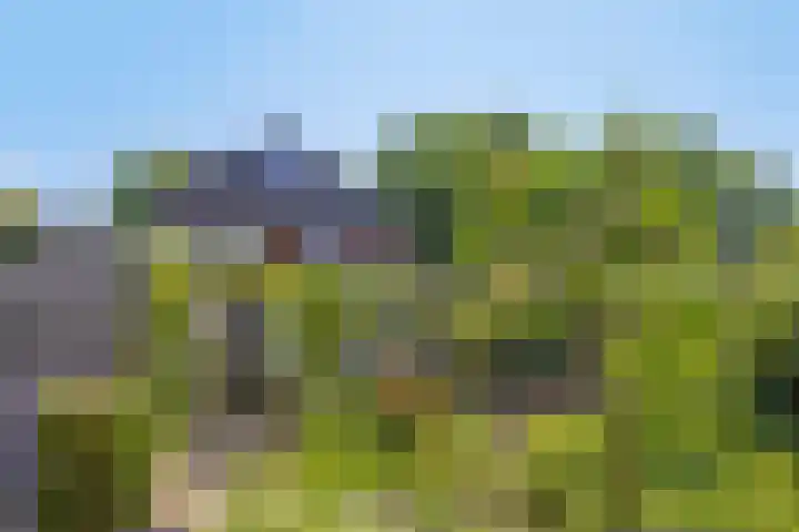 Contre Escarpe 8 Doesburg thumbnail 50