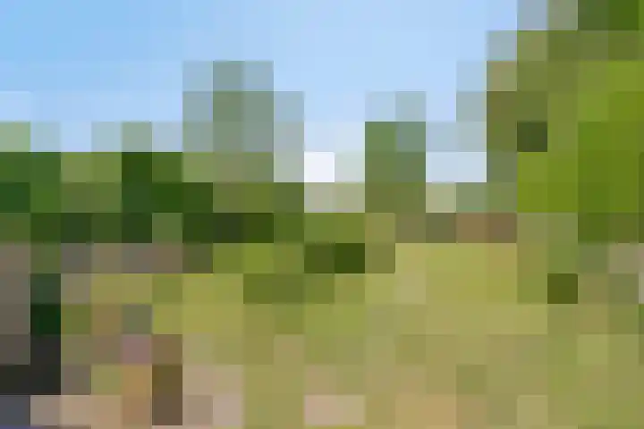 Contre Escarpe 8 Doesburg thumbnail 52
