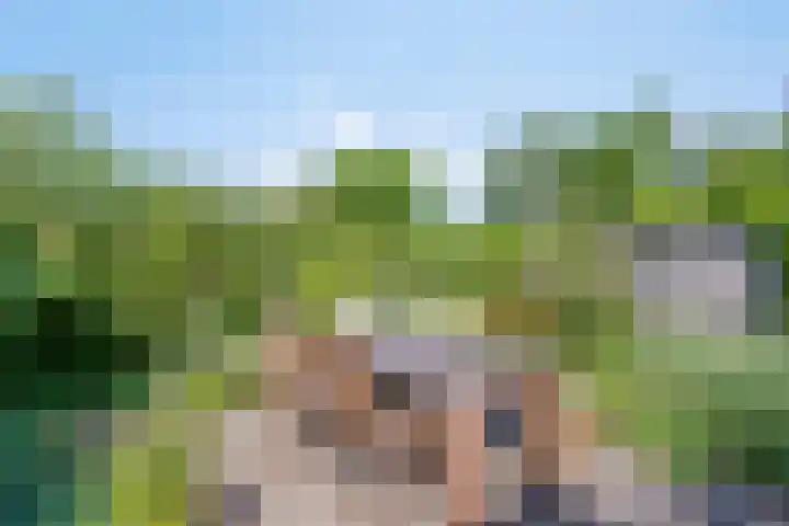 Contre Escarpe 8 Doesburg thumbnail 55