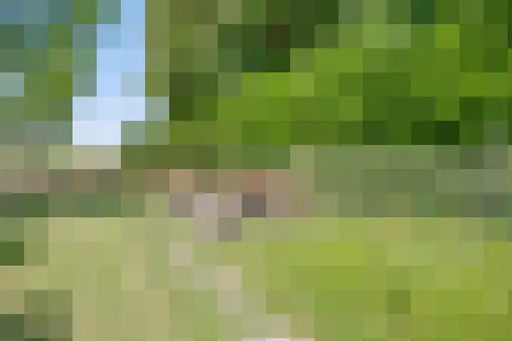Contre Escarpe 8 Doesburg thumbnail 57