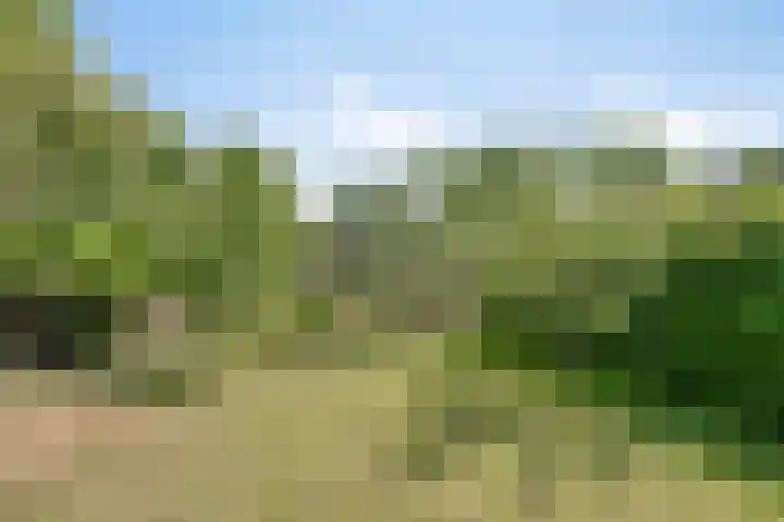 Contre Escarpe 8 Doesburg thumbnail 58