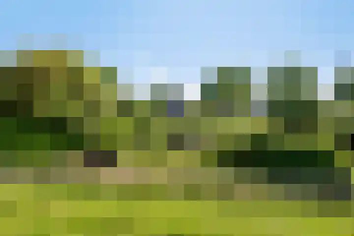 Contre Escarpe 8 Doesburg thumbnail 60