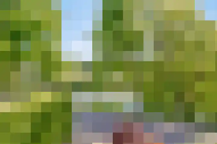 Contre Escarpe 8 Doesburg thumbnail 62