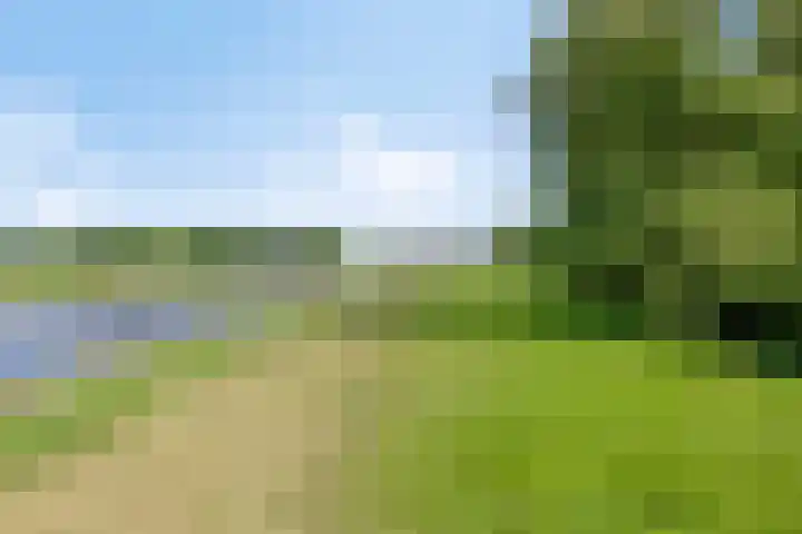 Contre Escarpe 8 Doesburg thumbnail 64