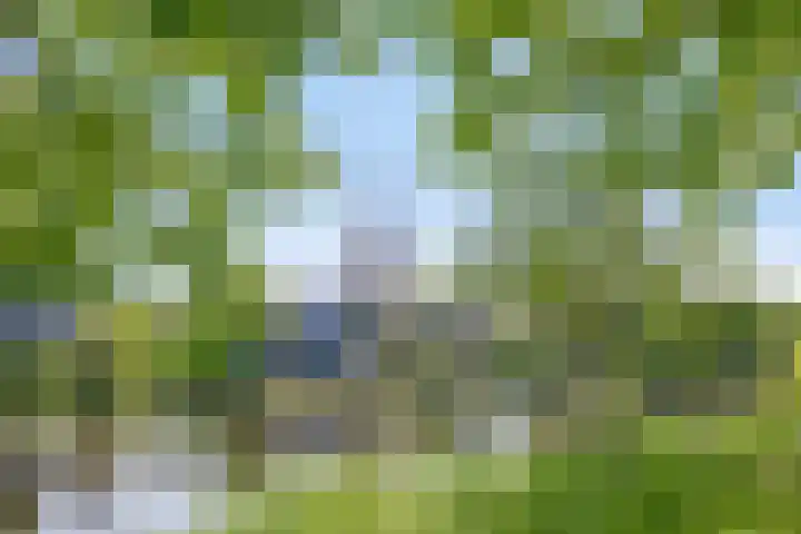 Contre Escarpe 8 Doesburg thumbnail 67