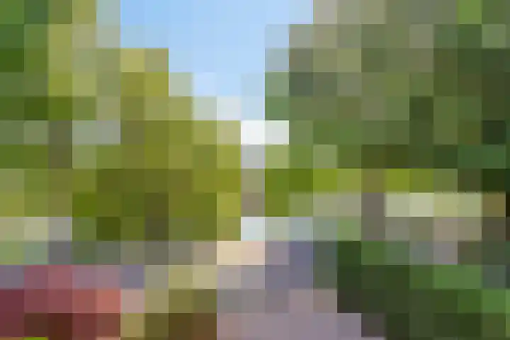 Contre Escarpe 8 Doesburg thumbnail 9