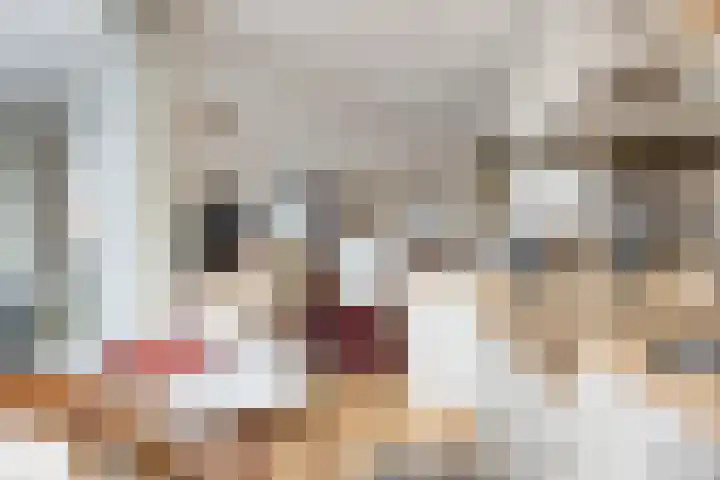 Contrefort 11 Drunen thumbnail 11