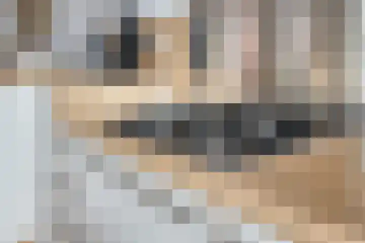 Contrefort 11 Drunen thumbnail 13