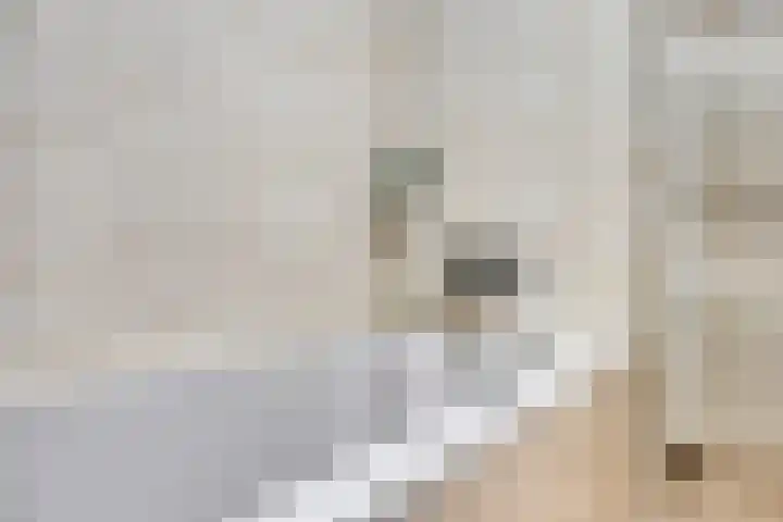 Contrefort 11 Drunen thumbnail 16