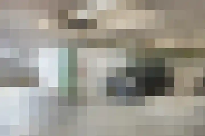 Contrefort 11 Drunen thumbnail 26