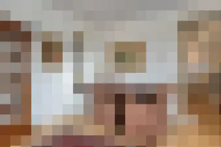 Contrefort 11 Drunen thumbnail 4
