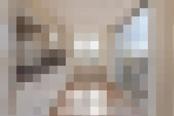 Contrefort 16 Drunen thumbnail 12