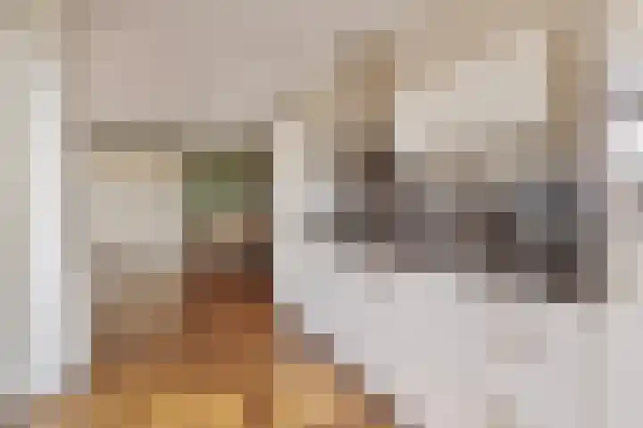 Contrefort 16 Drunen thumbnail 13