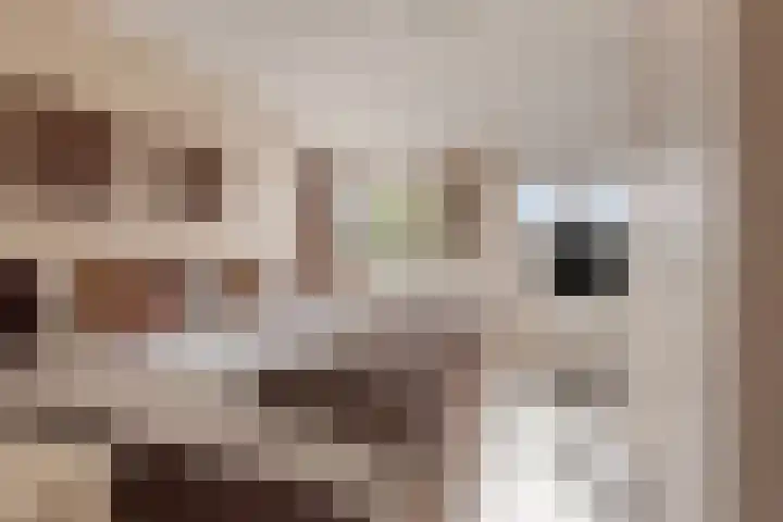 Contrefort 16 Drunen thumbnail 14