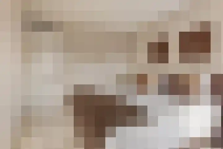 Contrefort 16 Drunen thumbnail 15