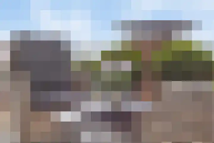 Contrefort 16 Drunen thumbnail 20