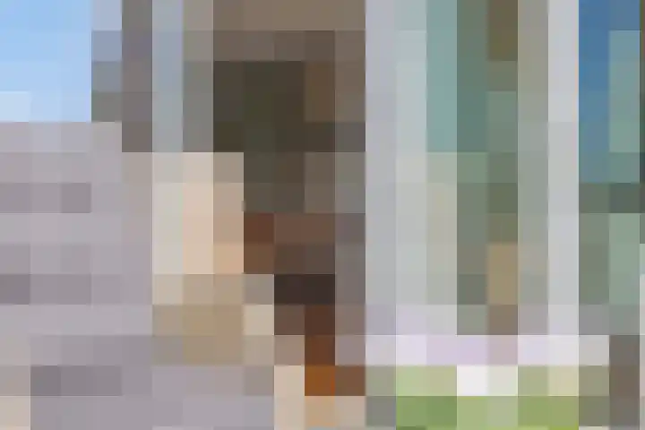 Contrefort 16 Drunen thumbnail 21