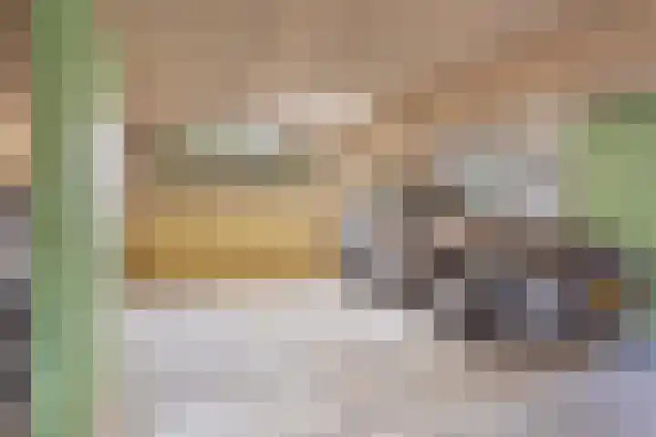 Contrefort 16 Drunen thumbnail 23