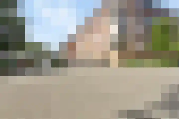 Contrefort 16 Drunen thumbnail 30