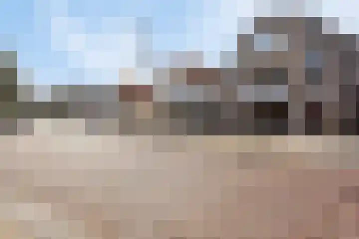 Contrefort 16 Drunen thumbnail 33
