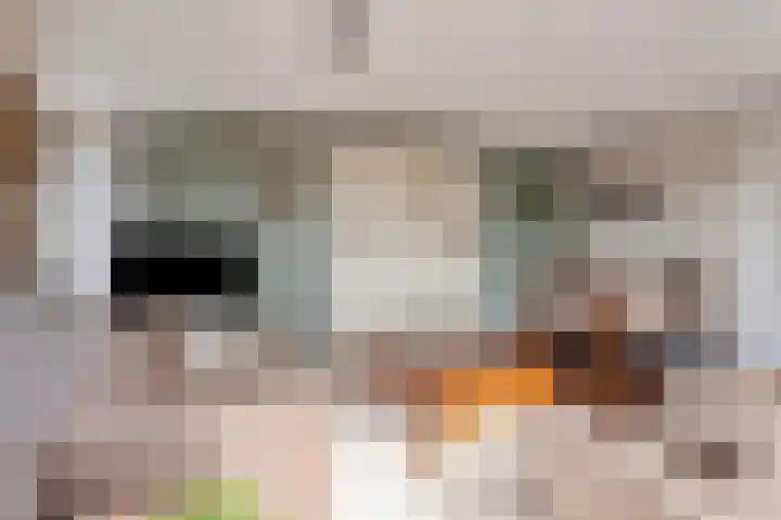 Contrefort 16 Drunen thumbnail 8
