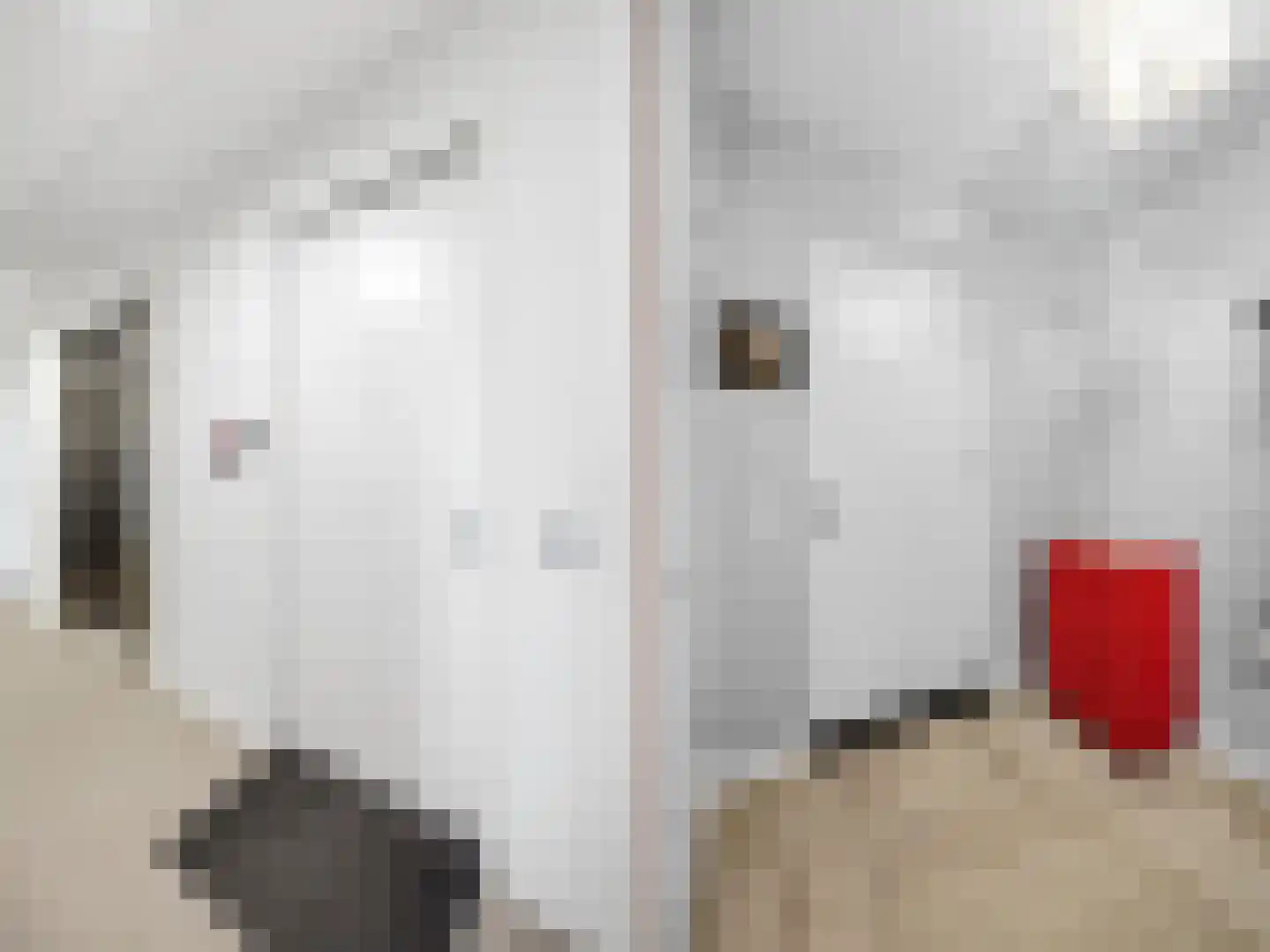 Contrescarp 126 Zutphen thumbnail 24