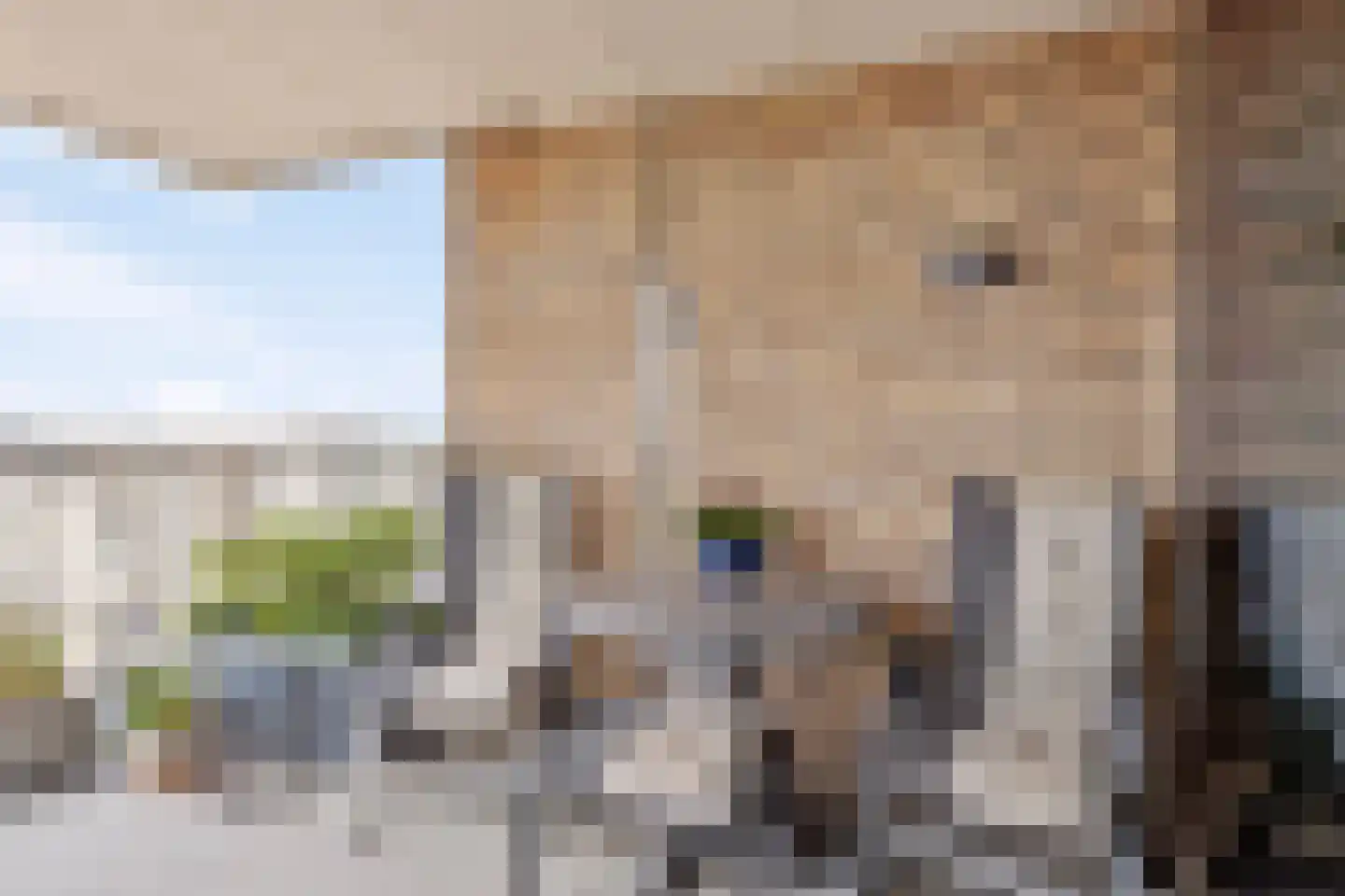 Contrescarp 59 Zutphen thumbnail 14