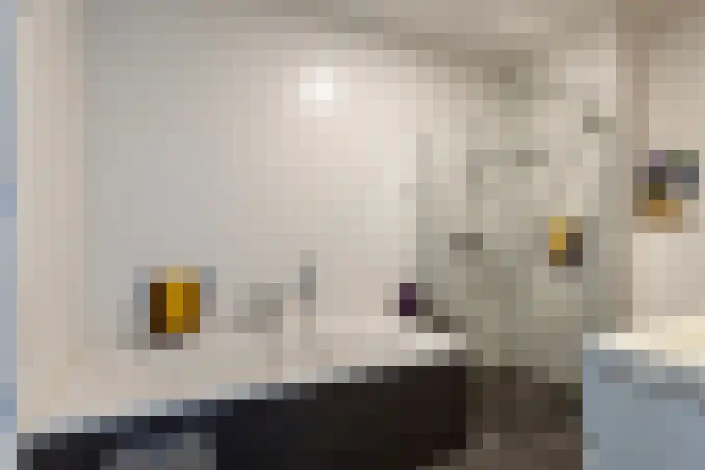Contrescarp 59 Zutphen thumbnail 25