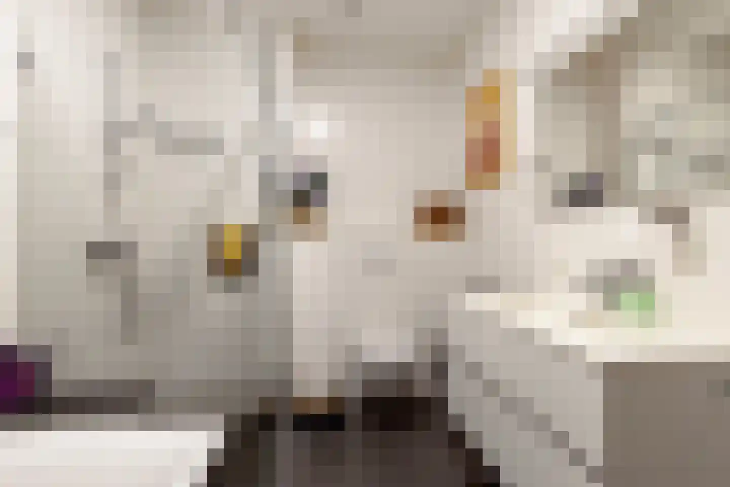 Contrescarp 59 Zutphen thumbnail 26