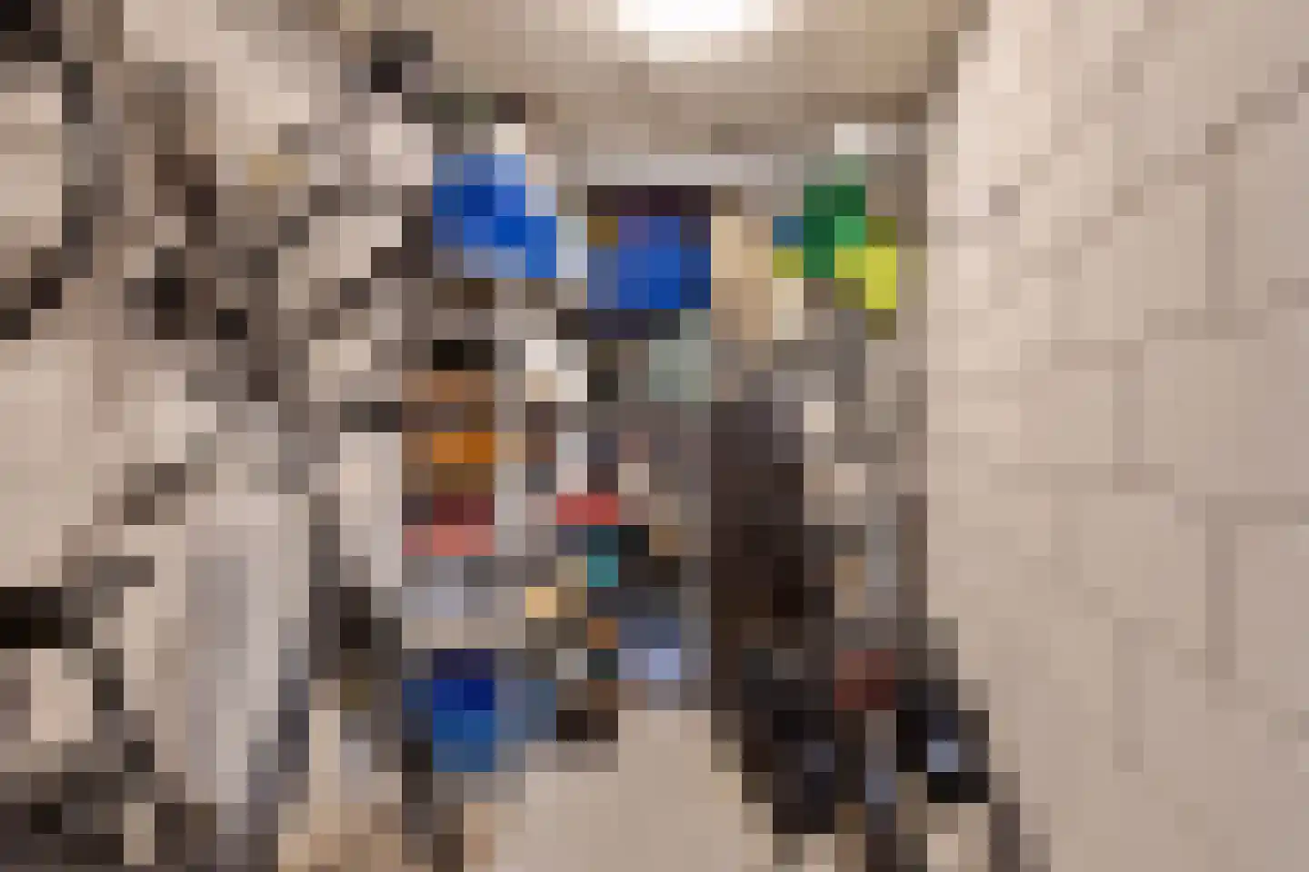 Contrescarp 59 Zutphen thumbnail 37