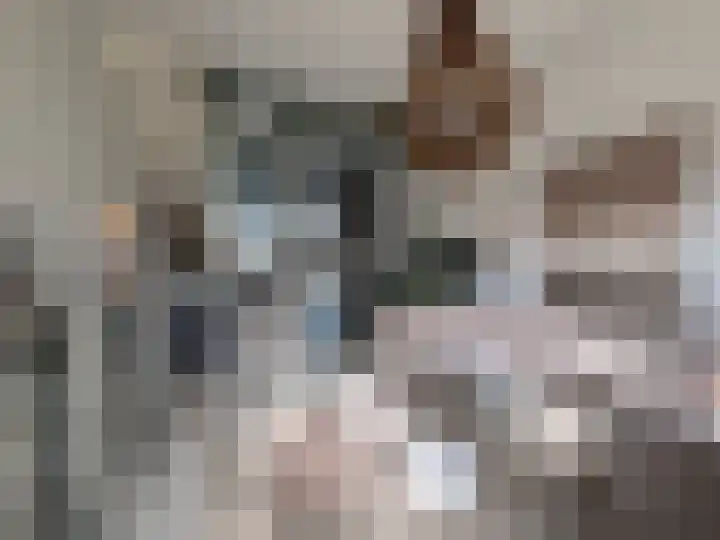 Contrescarp 98 Zutphen thumbnail 13
