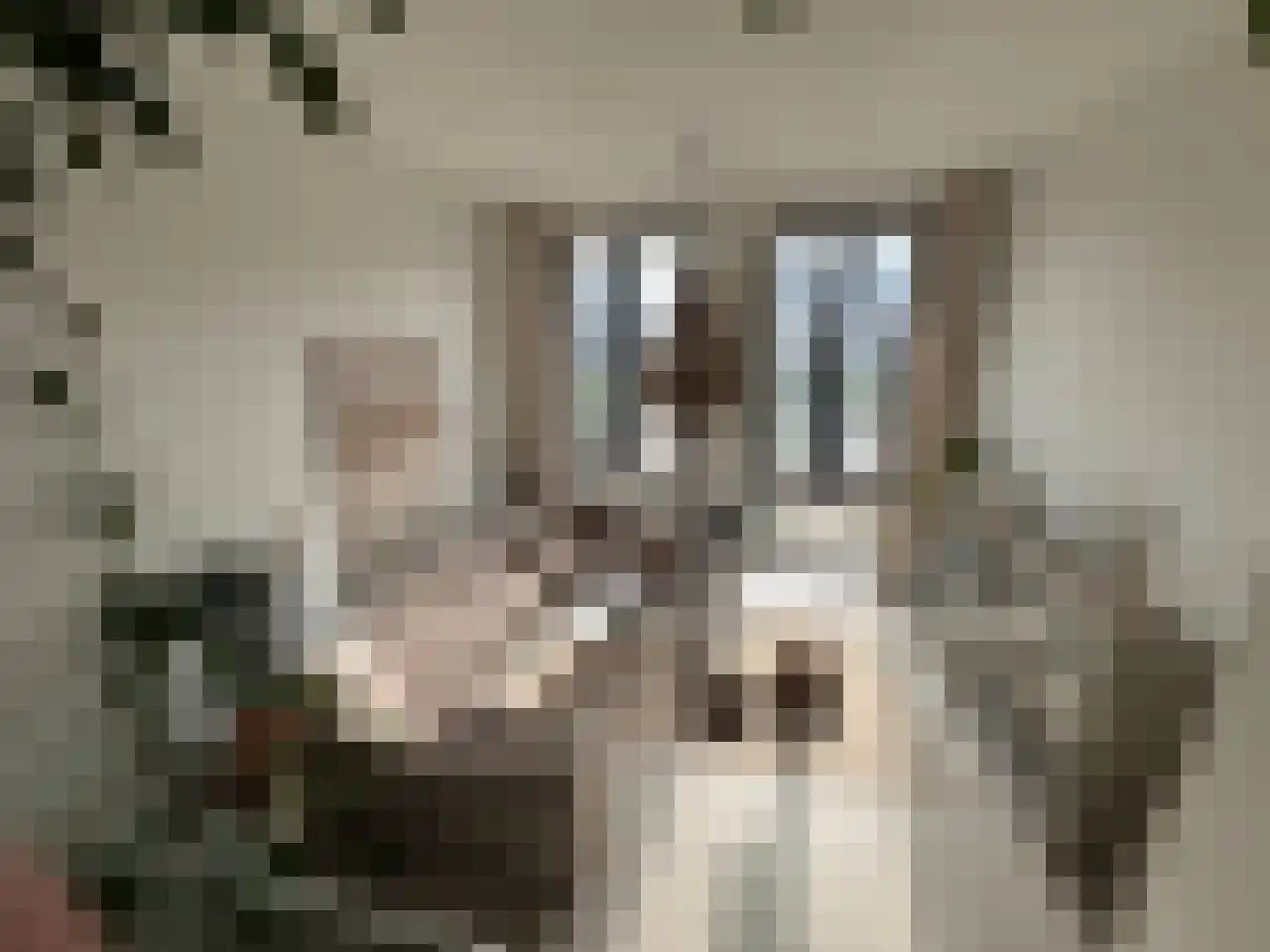 Contrescarp 98 Zutphen thumbnail 14