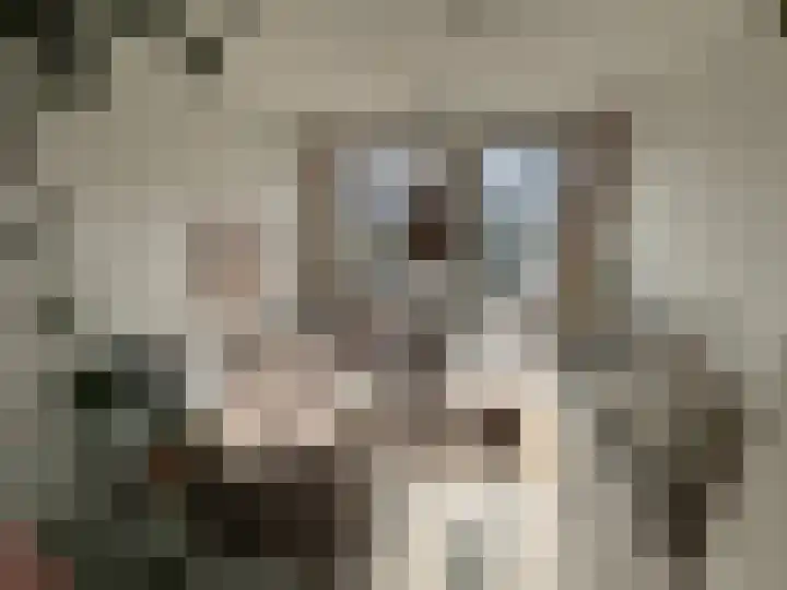 Contrescarp 98 Zutphen thumbnail 14