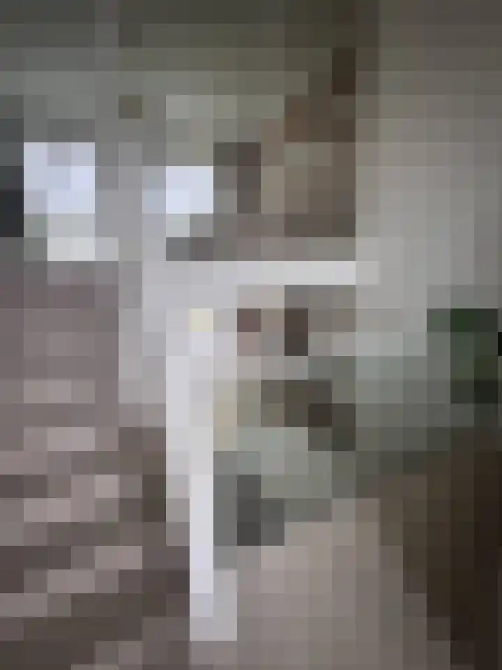 Contrescarp 98 Zutphen thumbnail 15