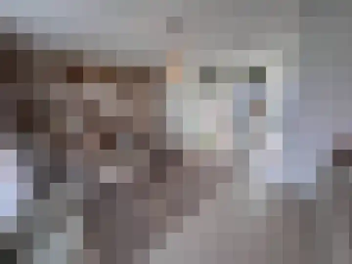 Contrescarp 98 Zutphen thumbnail 17