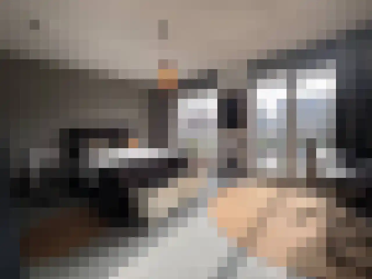 Contrescarp 98 Zutphen thumbnail 19
