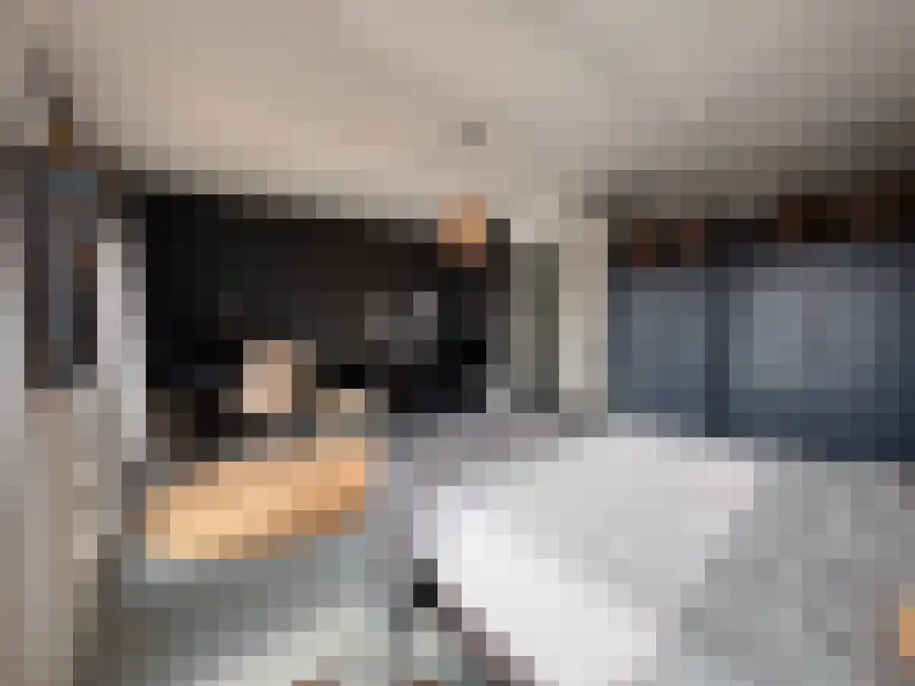 Contrescarp 98 Zutphen thumbnail 20
