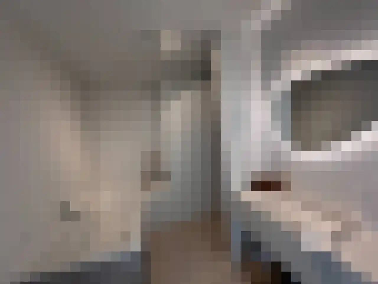 Contrescarp 98 Zutphen thumbnail 21
