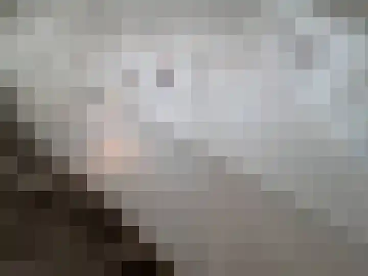 Contrescarp 98 Zutphen thumbnail 27