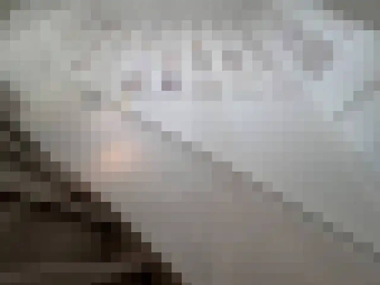 Contrescarp 98 Zutphen thumbnail 27