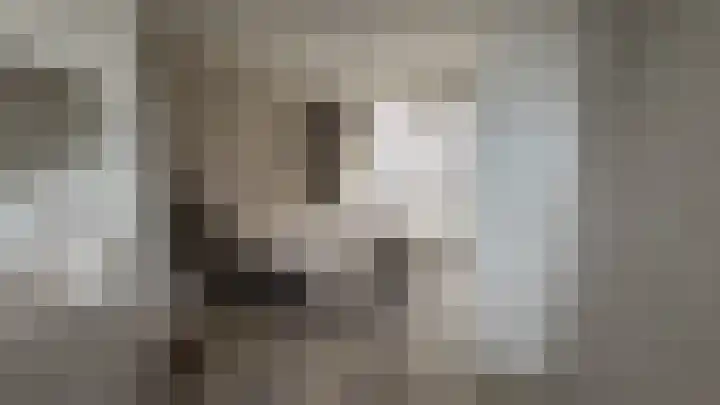 Contrescarp 98 Zutphen thumbnail 29