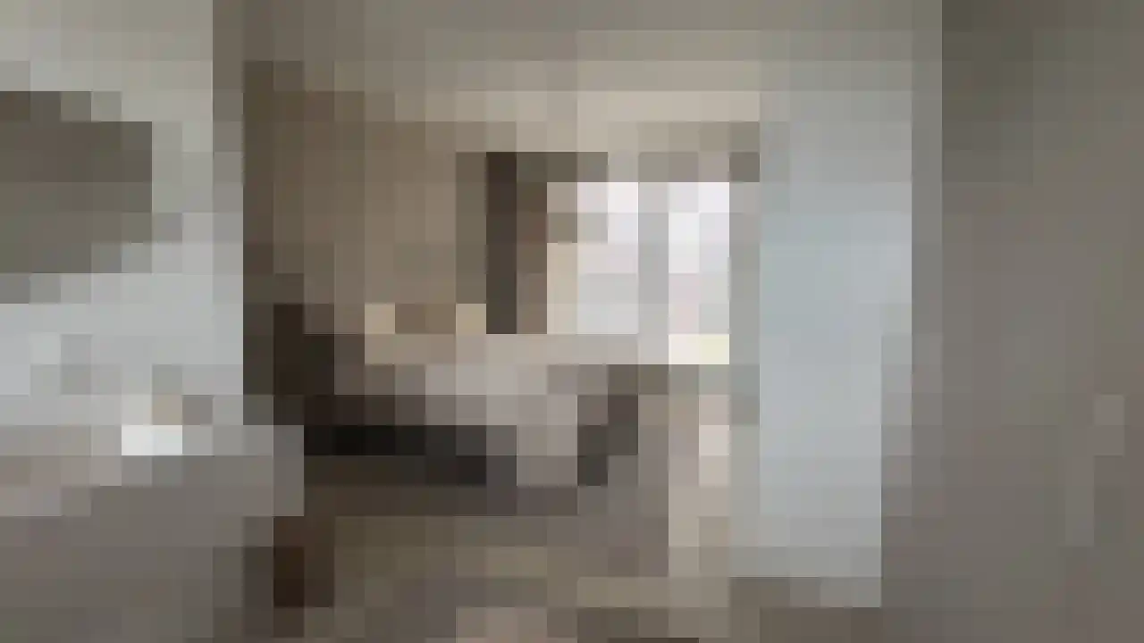 Contrescarp 98 Zutphen thumbnail 29