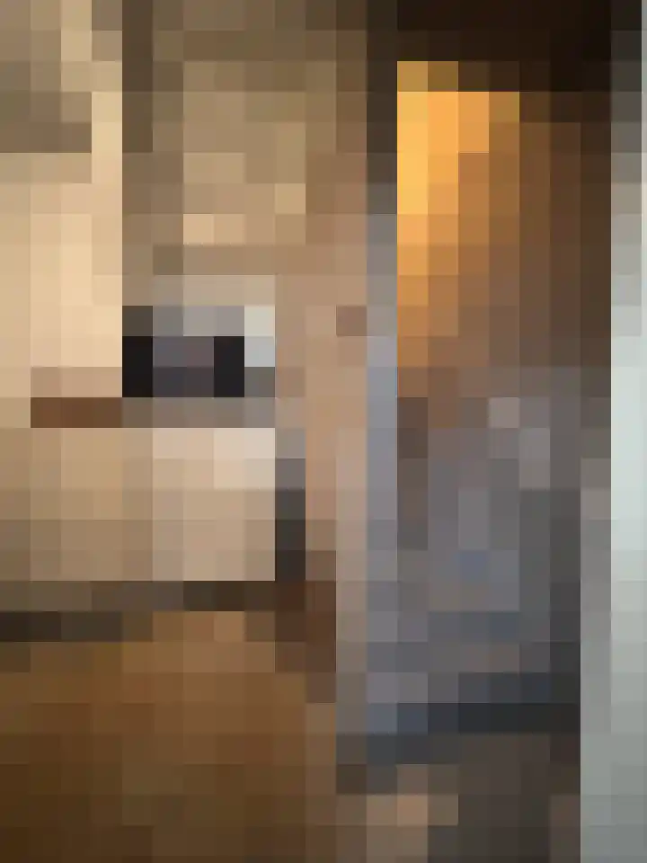 Contrescarp 98 Zutphen thumbnail 33
