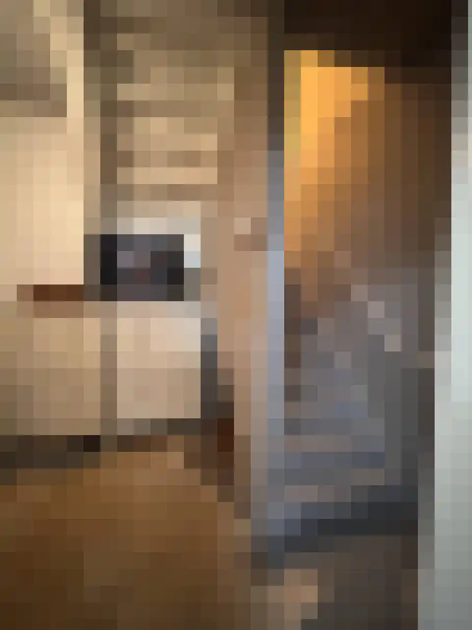 Contrescarp 98 Zutphen thumbnail 33