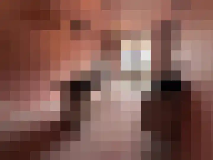 Contrescarp 98 Zutphen thumbnail 5