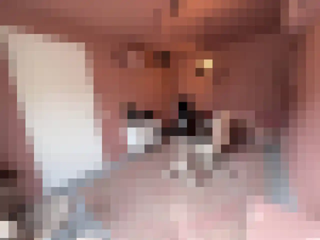 Contrescarp 98 Zutphen thumbnail 6